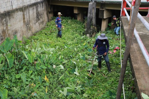 เทศบาลนครแม่สอด จัดกิจกรรม “จิตอาสาพัฒนา คู คลอง” เนื่องในโอกาส วันเฉลิมพระชนมพรรษาสมเด็จพระนางเจ้าฯ พระบรมราชินี