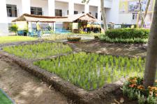 เทศบาลนครแม่สอด เข้าร่วมพระราชพิธีบรมราชาภิเษก พ.ศ.2562