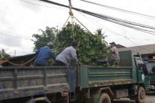 เทศบาลนครแม่สอด ดำเนินโครงการ ขุดลอกลำห้วยแม่สอด รวมพลัง รวมใจ ชาวนครแม่สอด 