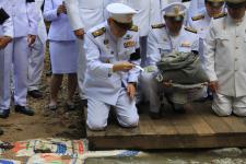 เทศบาลนครแม่สอด เข้าร่วมพิธีถวายดอกไม้จันทน์ ในพระราชพิธีถวายพระเพลิงพระบรมศพ พระบาทสมเด็จพระปรมินทรมหาภูมิพลอดุลยเดช บรมนาถบพิตร