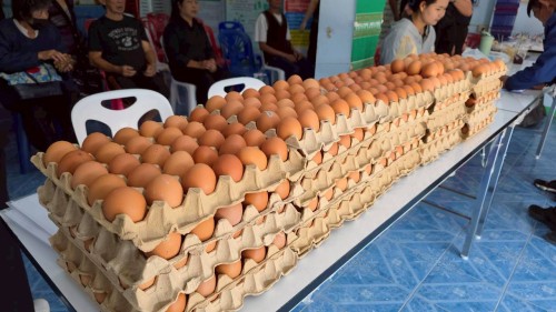 ทน.แม่สอด จัดโครงการอบรมการพัฒนาศักยภาพ การจัดการขยะมูลฝอยของภาคีเครือข่ายในชุมชนร่วมแรง พื้นที่เทศบาลนครแม่สอด ประจำปีงบประมาณ 2569